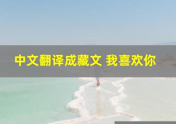 中文翻译成藏文 我喜欢你